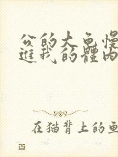 公的大龟慢慢挺进我的体内