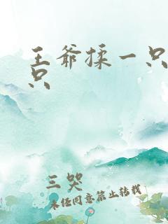 王爷揉一只舔一只