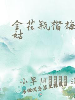 金花瓶楷梅花尼姑