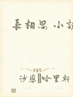 长相思 小说