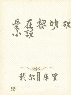 爱在黎明破晓前小说