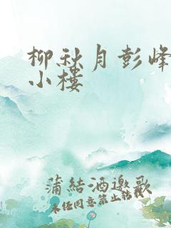 柳秋月彭峰月满小楼