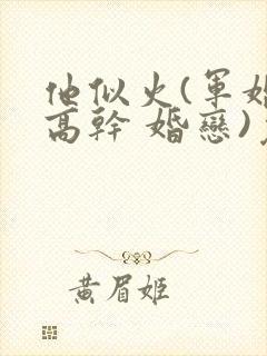 他似火(军婚 高干 婚恋)免费阅读