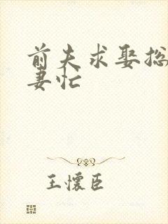 前夫求娶总裁追妻忙