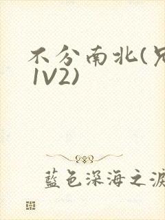 不分南北(兄弟 1V2)