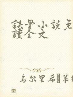 铁骨小说免费阅读全文