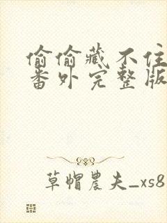 偷偷藏不住新婚番外完整版