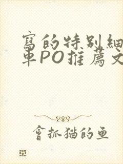 写的特别细的开车PO推荐文多人