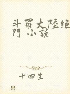 斗罗大陆绝世唐门 小说