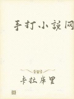 手打小说网