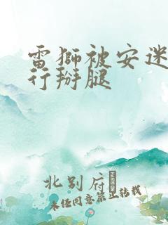 雷狮被安迷修强行掰腿