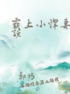 霸上小悍妻 小说