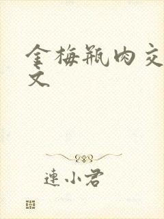 金梅瓶肉交白话文