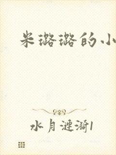 米璐璐的小说