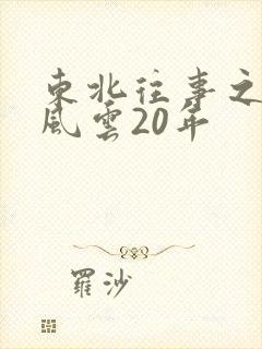 东北往事之黑道风云20年