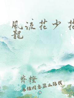 风流花少 花睿龙
