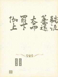 伽罗太华躺在床上下面还流东西