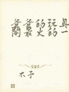 爸爸的玩具笔趣阁最火的一句