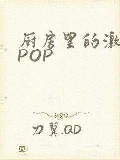 厨房里的激战2POP