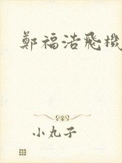 郑福浩飞机坠海