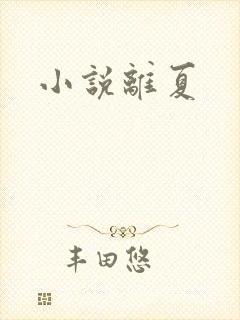 小说离夏