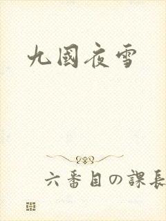 九国夜雪