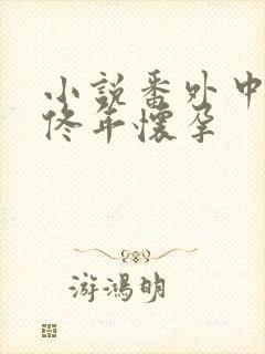 小说番外中结局佟年怀孕