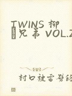 TWINS 柳澤兄弟 VOL.2