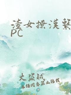 渣女撩汉系统NPC