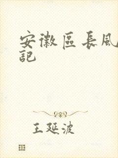 安徽区长风流日记