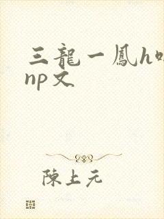 三龙一凤h啪肉np文