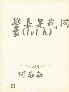 学长是我网恋对象(1v1 h)