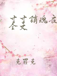 寸寸销魂夜春光全文