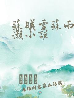苏映雪苏雨柔苏灏小说