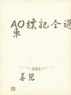 AO标记全过程车