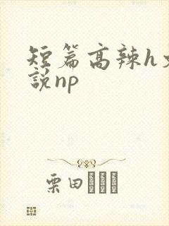 短篇高辣h文小说np