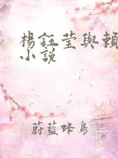 杨钰莹与赖昌星小说