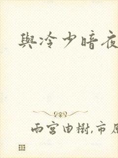 与冷少暗夜孽爱
