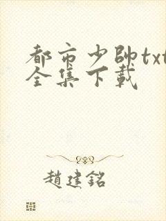都市少帅txt全集下载