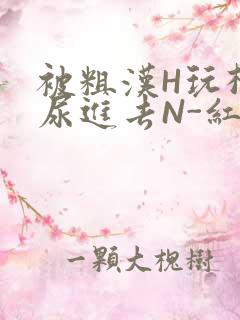 被粗汉H玩松了尿进去N-红-Q