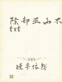 除却巫山不是云txt