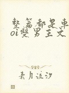 整篇都是车的doi双男主文