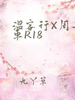 温客行X周子舒车R18