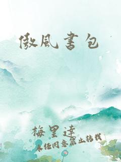 傲风书包