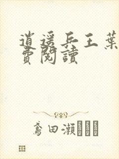 逍遥兵王叶成免费阅读