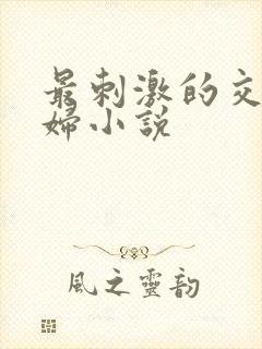 最刺激的交换夫妇小说