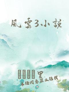 风云3小说