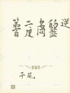 第二名的逆袭 百度网盘