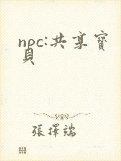 npc:共享宝贝