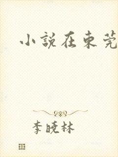 小说在东莞